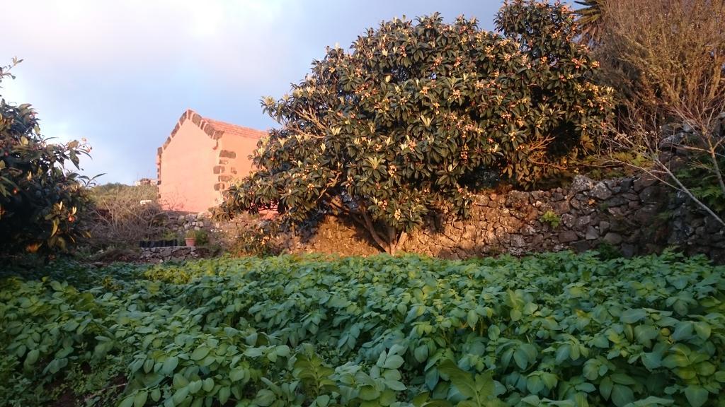 Vila Gran Drago Valverde  Exteriér fotografie